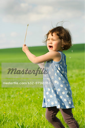 Little girl running in field, scattering dandelion seeds in wind