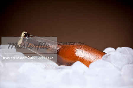 A bottle of beer buried on ice.