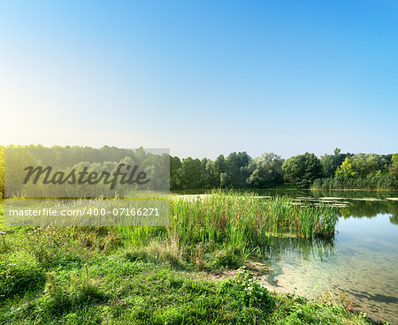 Silent river at dawn in the summer