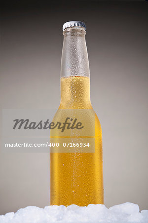 Mexican beer sitting on ice over a gray background.