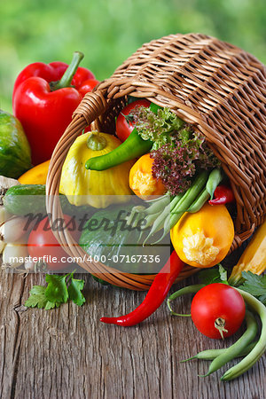 Fresh kitchen garden vegetables with wicker basket.