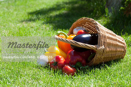 Fresh ripe vegetables in the basket on green grass