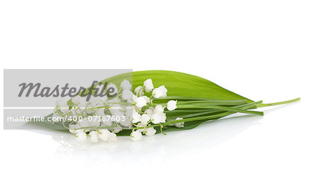 Lily of the valley. Isolated on white background