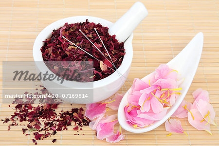 Chinese herbal medicine with acupuncture needles and fresh and dried peony flowers. Fuguihua.