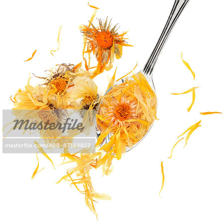 Calendula flowers used in chinese herbal medicine and tea infusions.