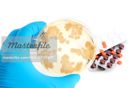 Penicillum fungi on agar plate and antibiotics over white background