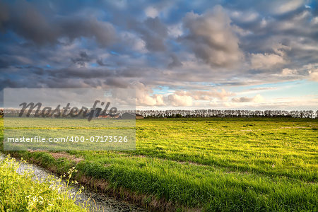 Dutch farmland in golden before sunset light, Netherlands