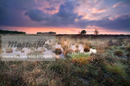 warm silent sunset over swamps in Fochteloerveen, Drenthe