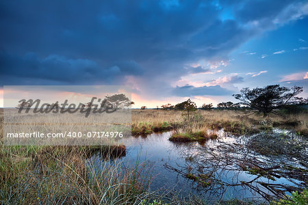 tranquil sunset after rain over swamps, Drenthe