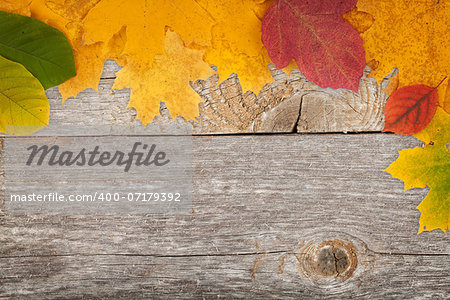 Autumn leaves on wood texture background