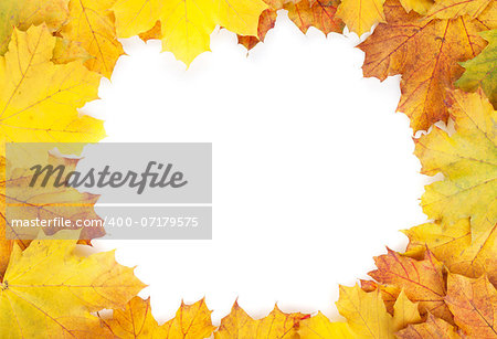 Colorful autumn maple leaves frame. Isolated on white background