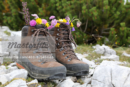 Hiking boots of a hiker with flowers on a rock in the mountains