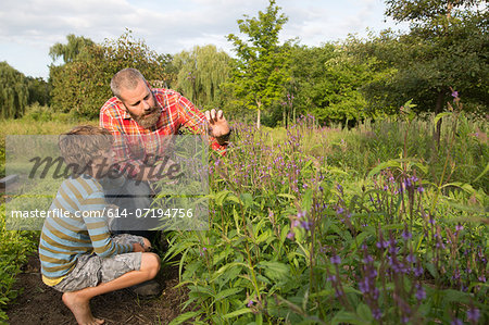 Mature man and son looking at plants on herb farm