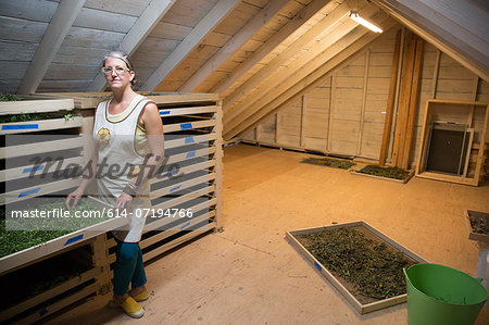 Woman checking seed tray on family herb farm