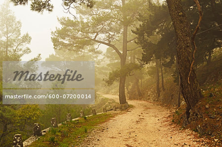 Mountain road at Profitis Ilias, Rhodes, Dodecanese, Aegean Sea, Greece, Europe