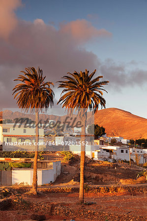 Palm trees and the white village of Toto at sunset, Fuerteventura, Canary Islands, Spain, Europe