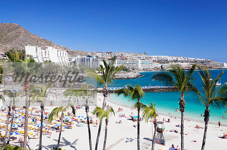 Palm trees at the beach, Arguineguin, Anfi del Mar, Playa de la Verga, Gran Canaria, Canary Islands, Spain, Atlantic, Europe Palm trees at the beach, Arguineguin, Anfi del Mar, Playa de la Verga, Gran Canaria, Canary Islands, Spain, Atlantic, Europe