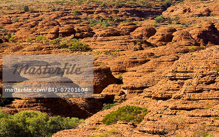 Sandstone domes at King's Canyon, Northern Territory, Red Centre, Australia