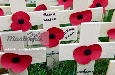 Wooden crosses and poppies in the field of remembrance at Westminster Abbey to commemorate those who have died in battle. Three of the crosses represent members of the Black Watch Regiment who have recently died in Iraq.