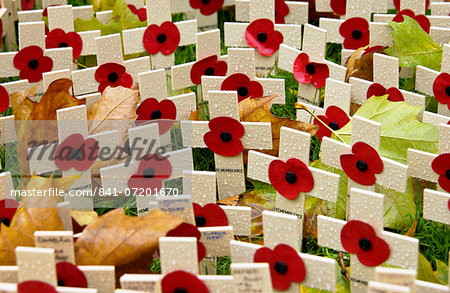 Crosses In The Royal British Legion Field Of Remembrance At St Margaret's Church, Westminster, London