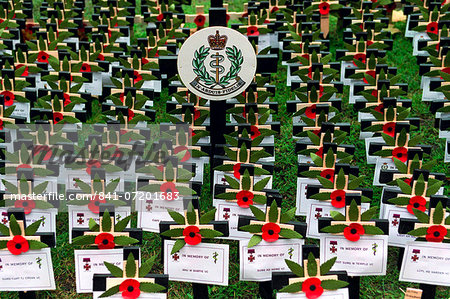 The Field Of Remembrance, St Margaret's Church, Westminster Abbey, London.