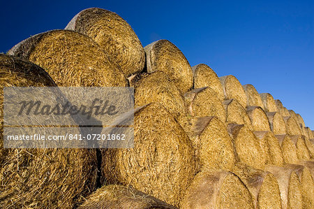 Stacked strawbales, The Cotswolds, Oxfordshire, United Kingdom