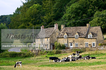 Quaint cottages and Friesian cows, Swinbrook, The Cotswolds, Oxfordshire, United Kingdom