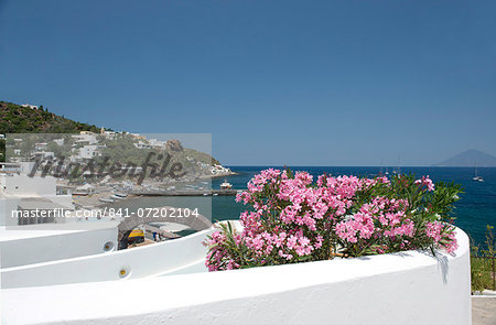 Pink mimosa on a terrace and white washed walls in San Pietro on Panarea, the Aeolian Islands, UNESCO World Heritage Site, Messina Province, off Sicily, Italy, Mediterranean, Europe