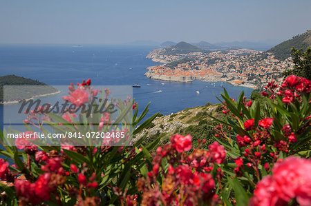 View of Old Town from above town, UNESCO World Heritage Site, Dubrovnik, Dalmatian Coast, Dalmatia, Croatia, Europe