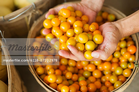 A farm growing and selling organic vegetables and fruit. A man holding a bowl of basket of freshly picked tomatoes. A farm growing and selling organic vegetables and fruit. A man holding a bowl of basket of freshly picked tomatoes.