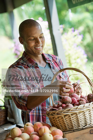 A farm stand with fresh organic vegetables and fruit. A man sorting beetroot in a basket.