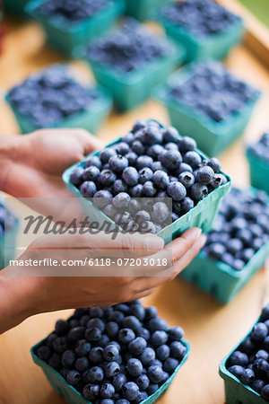Organic fruit displayed on a farm stand. Blueberries in punnets. Organic fruit displayed on a farm stand. Blueberries in punnets.