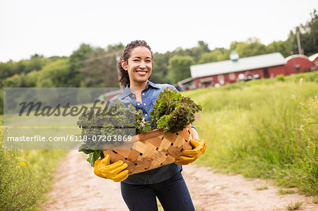 Working on an organic farm. A woman holding a basket full of fresh green vegetables, freshly picked. Working on an organic farm. A woman holding a basket full of fresh green vegetables, freshly picked.
