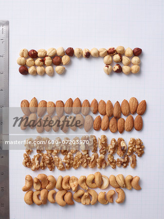 Overhead view of groups of various types of nuts along side ruler, studio shot