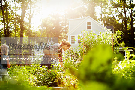 A woman picking vegetables in a garden at the end of the day. A child walking through tall plants.