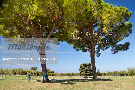 Tourists under Trees, Paestum, Campania, Italy