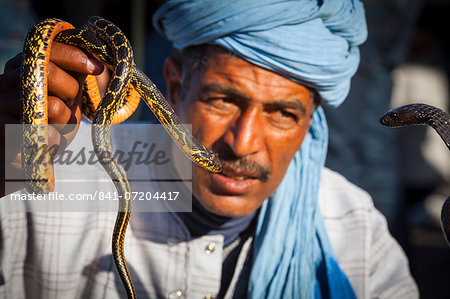 Snake charmer, Djemaa el-Fna Square, The Medina, Marrakesh, Morocco, North Africa, Africa