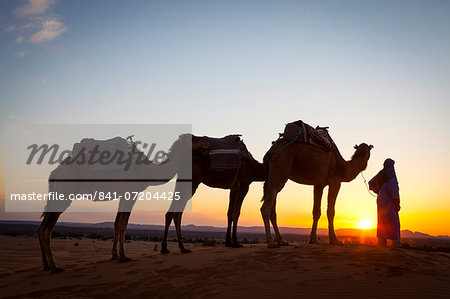 Camel driver, Sahara Desert, Merzouga, Morocco, North Africa, Africa