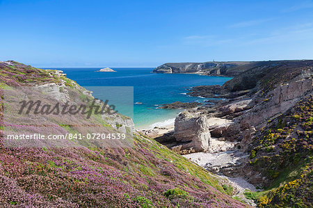 View along the cliffs of Cap Frehel to the lighthouse, Cotes d'Armor, Brittany, France, Europe