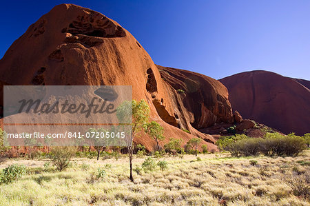 Trees at the base of Ayers Rock, Uluru, Red Centre, Australia
