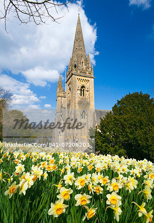 Llandaff Cathedral, Llandaff, Cardiff, Wales, United Kingdom, Europe