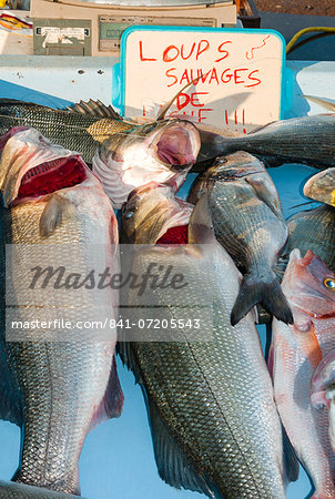 Sunday Fish Market at Vieux Port, Marseille, Bouches du Rhone, Provence-Alpes-Cote-d'Azur, France, Europe