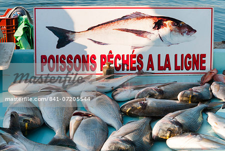 Sunday Fish Market at Vieux Port, Marseille, Bouches du Rhone, Provence-Alpes-Cote-d'Azur, France, Europe