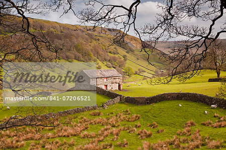 Stone barn in the Swaledale area of the Yorkshire Dales National Park, Yorkshire, England, United Kingdom, Europe