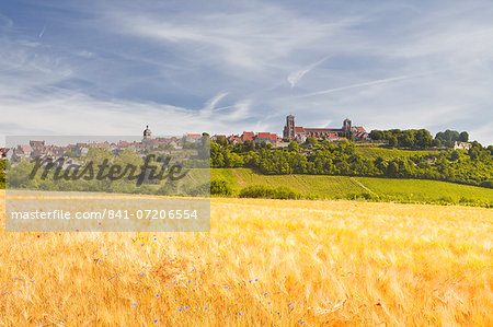 A wheat field below the hilltop village of Vezelay in the Yonne area of Burgundy, France, Europe