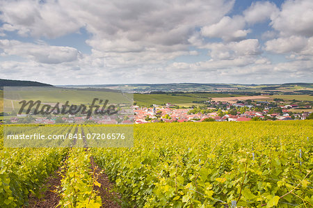 Champagne vineyards above the village of Baroville in the Cote des Bar area of Aube, Champagne-Ardennes, France, Europe