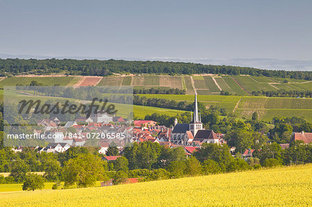 The village of Ricey Bas in the Cote des Bar area, Champagne, France, Europe