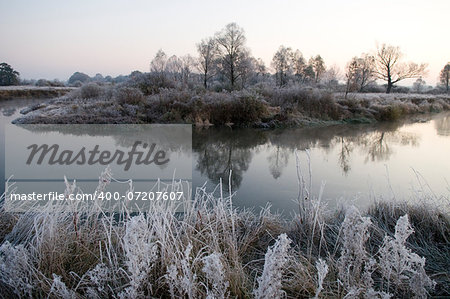It is autumn morning.The  grass, leaves - always round the river are covered with frost.