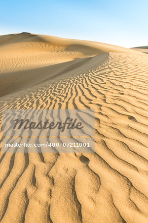 Gold sand dunes in desert at sunset under clear blue sky