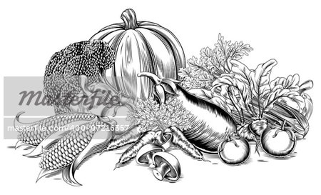 A vintage retro woodcut print or etching style vegetable fresh garden produce illustration